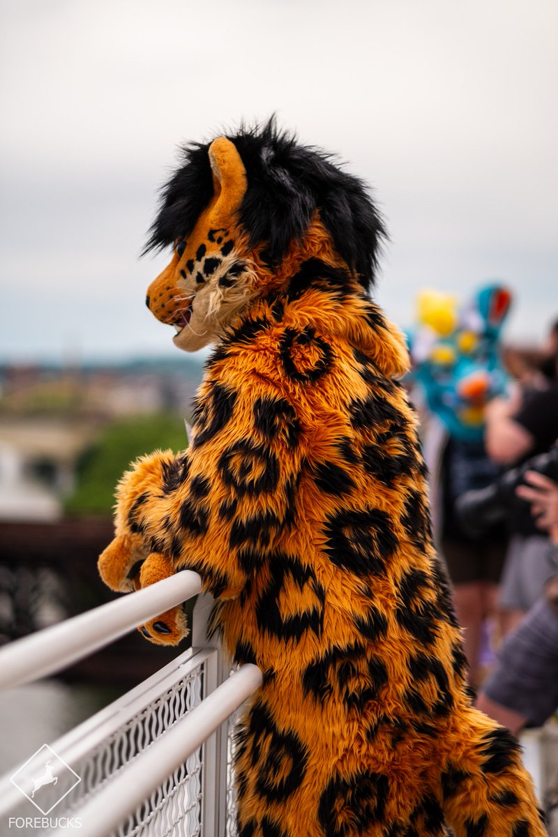 Account Not in Use- Check my Linktr.ee tweet media