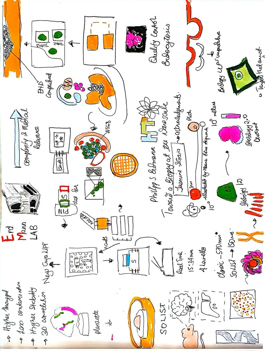 Maame Ekua Acquah (@acquah_maamekua) on Twitter photo The next talk for the cryoEM club <a href="/EMBLGrenoble/">EMBL Grenoble</a> <a href="/IBS_Grenoble/">Institut de Biologie Structurale</a> was by Phillip S Erdmann <a href="/3P1L/">Philipp S. Erdmann</a> from <a href="/humantechnopole/">Human Technopole</a> on using CryoLift to advance looking at biopsies at the nanoscale level. The next talk for the cryoEM club <a href="/EMBLGrenoble/">EMBL Grenoble</a> <a href="/IBS_Grenoble/">Institut de Biologie Structurale</a> was by Phillip S Erdmann <a href="/3P1L/">Philipp S. Erdmann</a> from <a href="/humantechnopole/">Human Technopole</a> on using CryoLift to advance looking at biopsies at the nanoscale level.