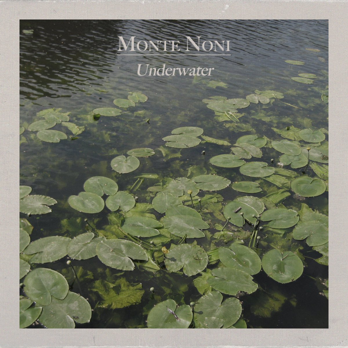 Hoy debuto con mi nuevo proyecto de ambient: Monte Noni
Espero que les guste escucharlo tanto como a mi hacerlo ❤️

open.spotify.com/album/1FXVEx4o…

#montenoni #ambient #underwater #chill #relax #meditate