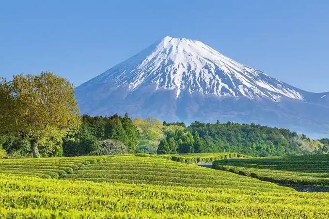 フォローしてくれたらフォロバします〜！！！ 😊
明日も頑張りましょ〜！！
いよいよ今日は華金
#いいねかRTで気になった人をフォロー 
#フォロバ 
#フォロバ100絶対 
#フォロバ100怪しい垢以外 
#フォロバ100 #いいねした人全員フォロー 
#いいねした人フォローする