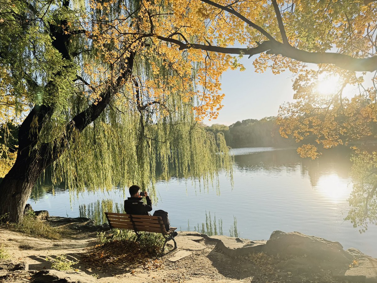 Plocinum tweet media