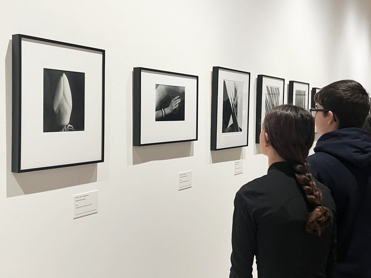 thyssenmalaga's tweet photo. Hasta el 19 de enero, en la Sala Noble del Museo, podremos disfrutar de una selección de fotografías de plantas y desnudos de la fotógrafa estadounidense #ImogenCunningham, procedente de la Colección José Luis Soler Vila. Un repertorio que presenta los especímenes del reino vegetal y los cuerpos desnudos como objetos de deseo. Un trabajo de exquisita delicadeza que se interesa por el registro de texturas, volúmenes, líneas, sombras y detalles de la belleza universal.
Exposición con la colaboración de @fperamoralart y el patrocinio de #SohoBoutiqueHotels.
