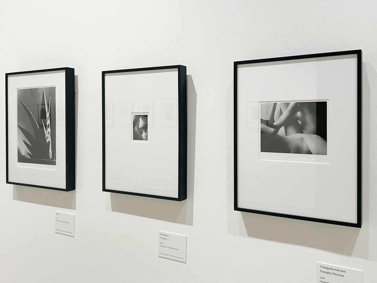 thyssenmalaga's tweet photo. Hasta el 19 de enero, en la Sala Noble del Museo, podremos disfrutar de una selección de fotografías de plantas y desnudos de la fotógrafa estadounidense #ImogenCunningham, procedente de la Colección José Luis Soler Vila. Un repertorio que presenta los especímenes del reino vegetal y los cuerpos desnudos como objetos de deseo. Un trabajo de exquisita delicadeza que se interesa por el registro de texturas, volúmenes, líneas, sombras y detalles de la belleza universal.
Exposición con la colaboración de @fperamoralart y el patrocinio de #SohoBoutiqueHotels.
