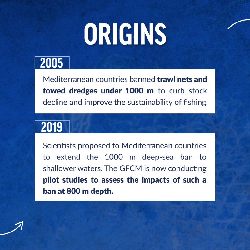 OceanaEurope's tweet photo. #DeepSea #bottomtrawling occurs over sensitive corals &amp; vulnerable marine ecosystems in the #Mediterranean, yet extending the current ban to below 800m would:

🪸reduce pressure on #VMEs
🦐overfished stocks
♨️improve ocean carbon storage

Find out why we need to #DefendTheDeep👇