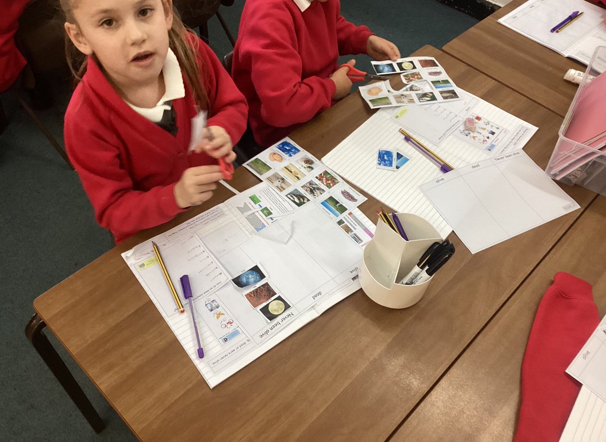 StrettonStMatts's tweet photo. Class 2 have been identifying things that are living, dead or were never alive in Science this week. #SSMScience #SSMYear2 https://t.co/QXtv290gJu