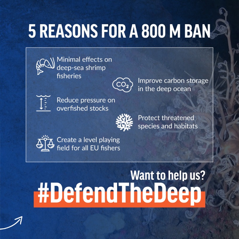 OceanaEurope's tweet photo. #DeepSea #bottomtrawling occurs over sensitive corals &amp; vulnerable marine ecosystems in the #Mediterranean, yet extending the current ban to below 800m would:

🪸reduce pressure on #VMEs
🦐overfished stocks
♨️improve ocean carbon storage

Find out why we need to #DefendTheDeep👇