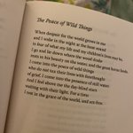 Photo by Rob Miles @robmilespoetry.bsky.social 🪶 (@RobMilesPoetry)