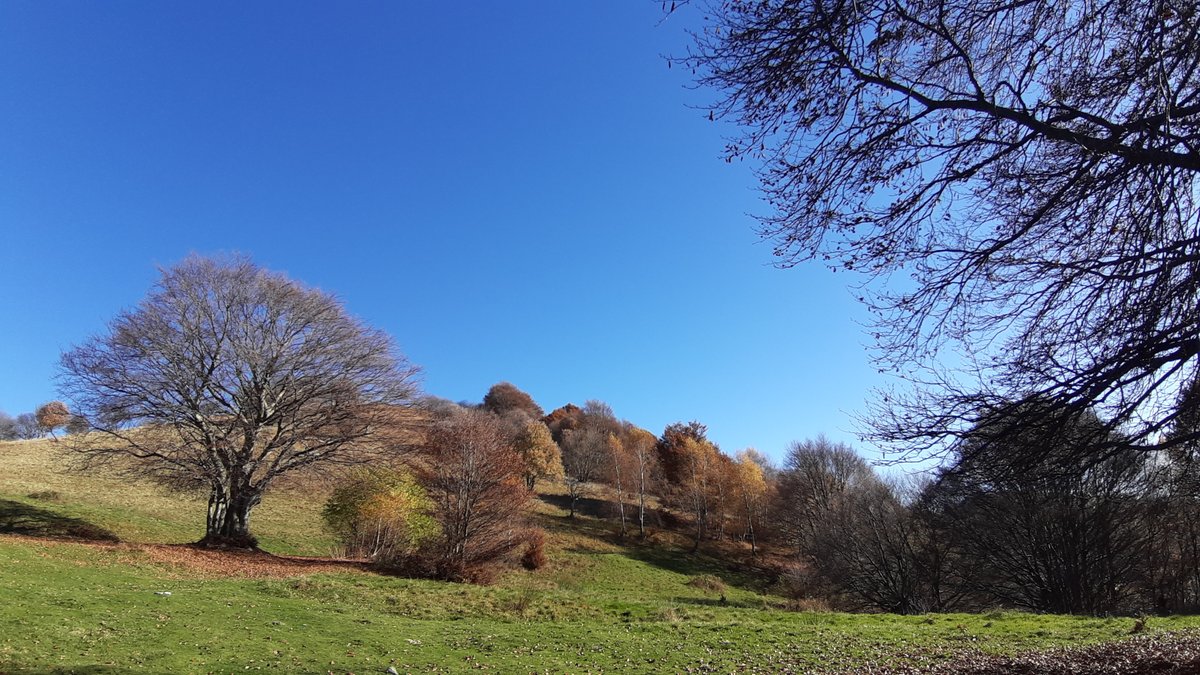 Escursioni, passeggiate e corse, l'autunno è tutto da vivere outdoor! Scopri le proposte di <a href="/orobieit/">Orobie</a> per il weekend
orobie.it/articolo/2024/…
