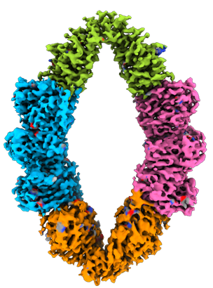 Arun K. Shukla tweet media