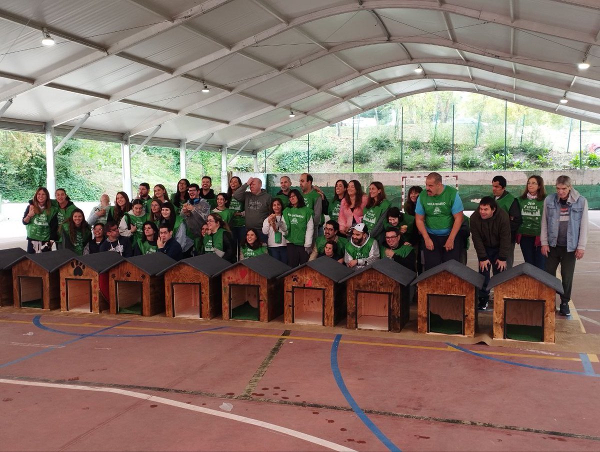 APADISASOC's tweet image. Hoy hemos compartido la mañana construyendo casetas para perros con nuestros nuevos amigos de @Publicis_Spain gracias a @FDIfundacion.

Hemos aprendido que juntos somos mejores y que no hay barreras cuando se trata de mejorar el planeta.

¡Gracias por hacernos #capacesdetodo!😍