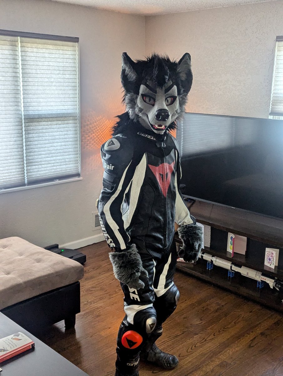 When life gives you lemons 🍋, ride a motorcycle 🏍️ 
#FursuitFriday