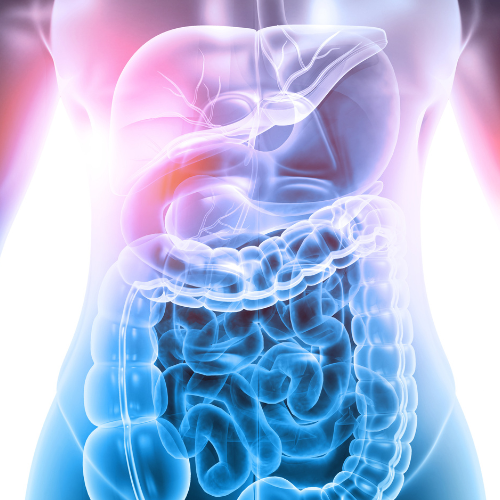 .<a href="/ChildrensPgh/">UPMC Children's Hospital of Pittsburgh</a> faculty are attending the <a href="/NASPGHAN/">NASPGHAN</a> 2024 annual meeting this weekend and will be at booth #616 to share information about the Division of Pediatric Gastroenterology, Hepatology and Nutrition: go.upmc.com/354043LVf