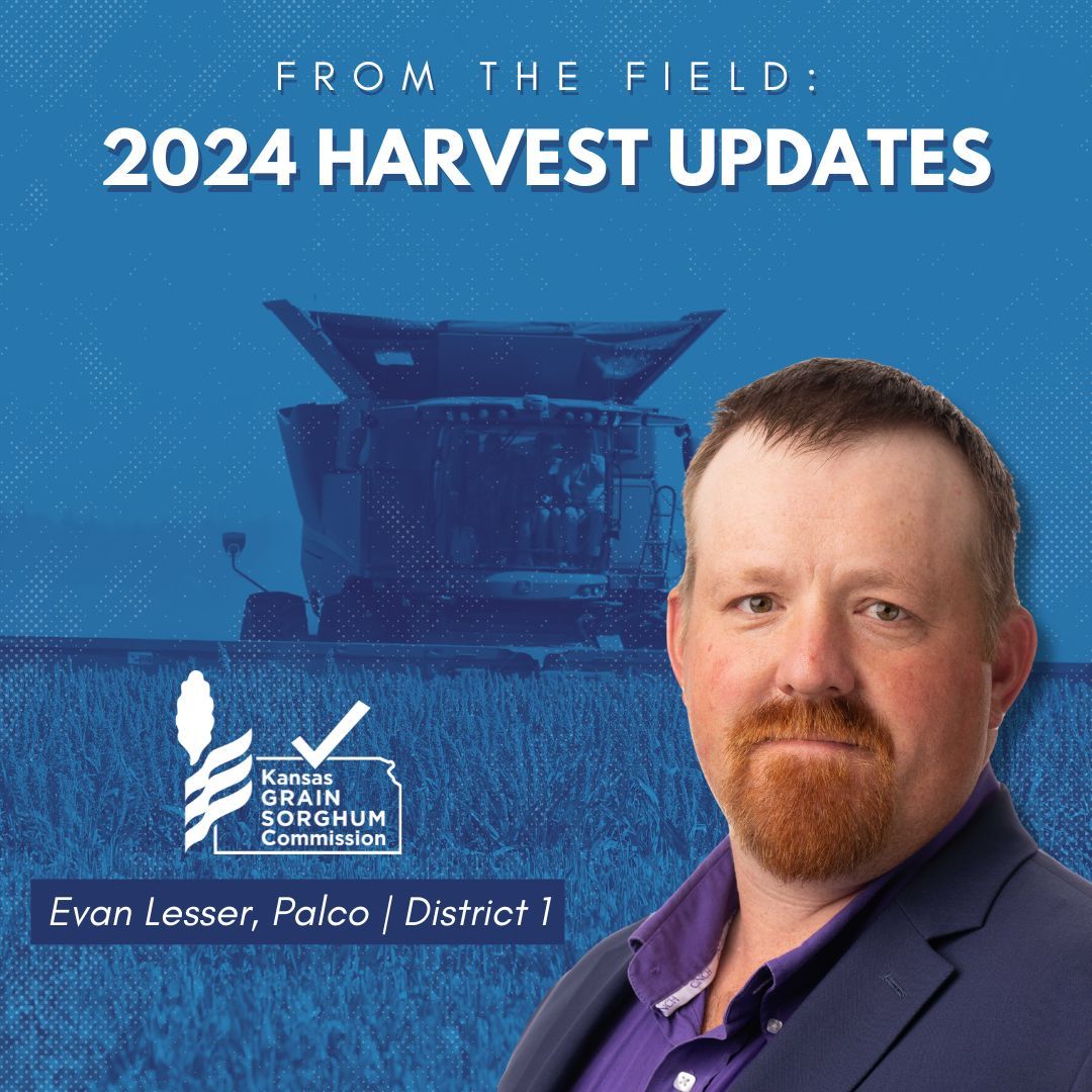 KSsorghum's tweet photo. Dive into our 2024 Harvest Update series! Latest interviews feature the Commission's Vice Chair Kevin Kniebel; District 1 Commissioner Evan Lesser; and At-Large Commissioner Clark Bibb.
Subscribe today to stay up to date on all things #KGSC: https://t.co/NutU6Sg98P https://t.co/XIKXPjey0O