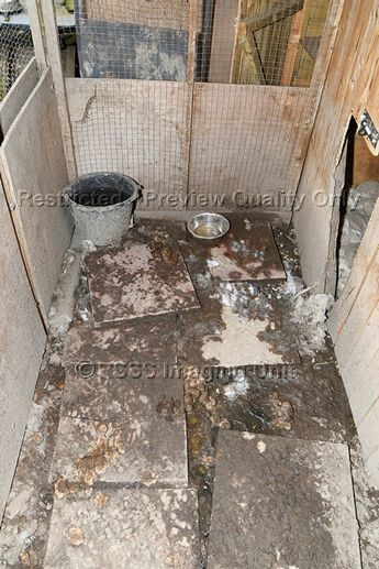 WestYorksPolice's tweet photo. A man from Leeds has been convicted of a string of animal welfare offences following an investigation into wildlife crime against badgers.
https://t.co/NLVc59dae8 https://t.co/Ot7VLO1BcV