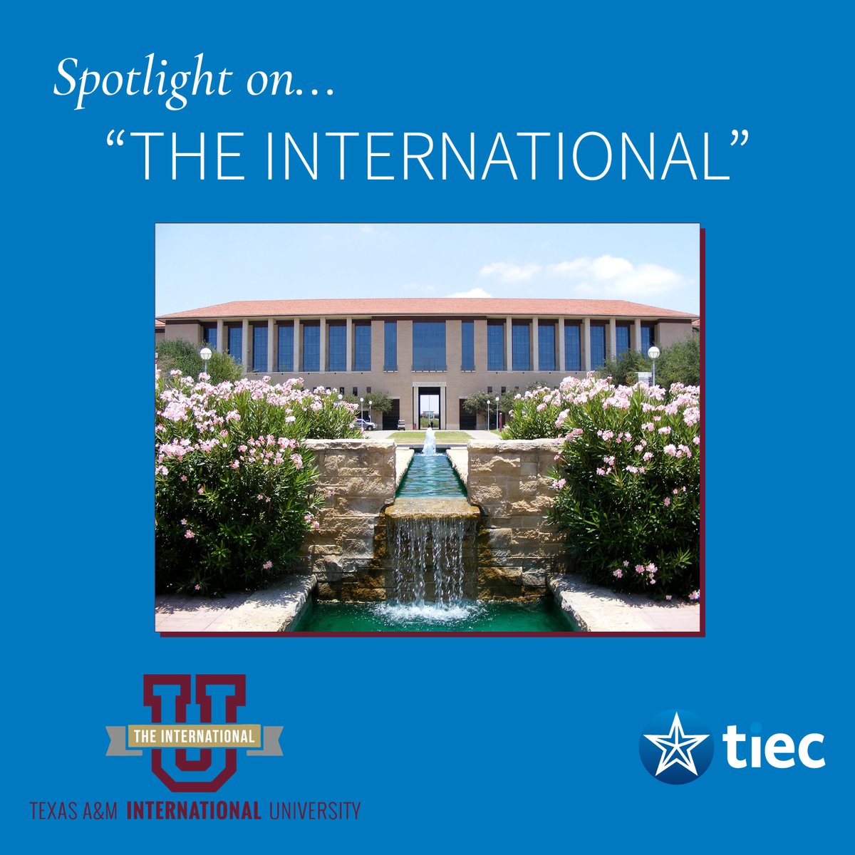 Texas International Education Consortium (TIEC) tweet media