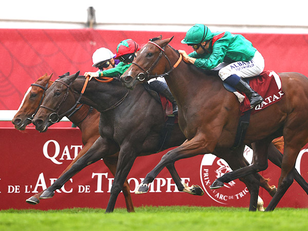 Tattersalls (@tattersalls1766) on Twitter photo The Gr.1 Prix Marcel Boussac winner Vertical Blue, the highest rated 2YO in France, is an exciting addition to the #TattsDecember Mares Sale where she will be offered as lot 1770A as part of the #SceptreSessions on Tuesday, 3rd December.
Trained by <a href="/GraffardRacing/">๐
๐ซ๐๐ง๐๐ข๐ฌ-๐๐๐ง๐ซ๐ข ๐๐ซ๐๐๐๐๐ซ๐</a>, Vertical Blue The Gr.1 Prix Marcel Boussac winner Vertical Blue, the highest rated 2YO in France, is an exciting addition to the #TattsDecember Mares Sale where she will be offered as lot 1770A as part of the #SceptreSessions on Tuesday, 3rd December.
Trained by <a href="/GraffardRacing/">๐
๐ซ๐๐ง๐๐ข๐ฌ-๐๐๐ง๐ซ๐ข ๐๐ซ๐๐๐๐๐ซ๐</a>, Vertical Blue