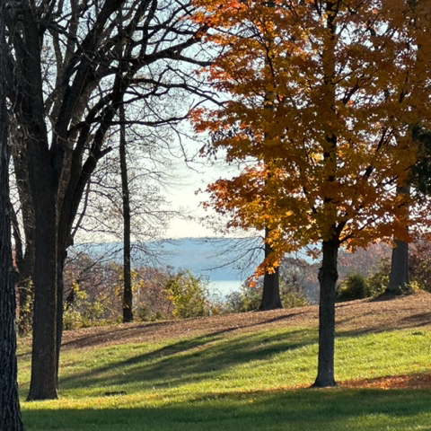 GunstonHall's tweet photo. ☀️Good Morning from #GunstonHall!☀️
Looking for a holiday weekend activity? It is the perfect weekend to visit our historic mansion & garden, walk our 3 trails, gaze at the Potomac River & wander through our exhibit, Revolutionary Rights.
Tkts: https://t.co/2ceHBPGN5B
#VAHistory https://t.co/hRAX9LrIn5