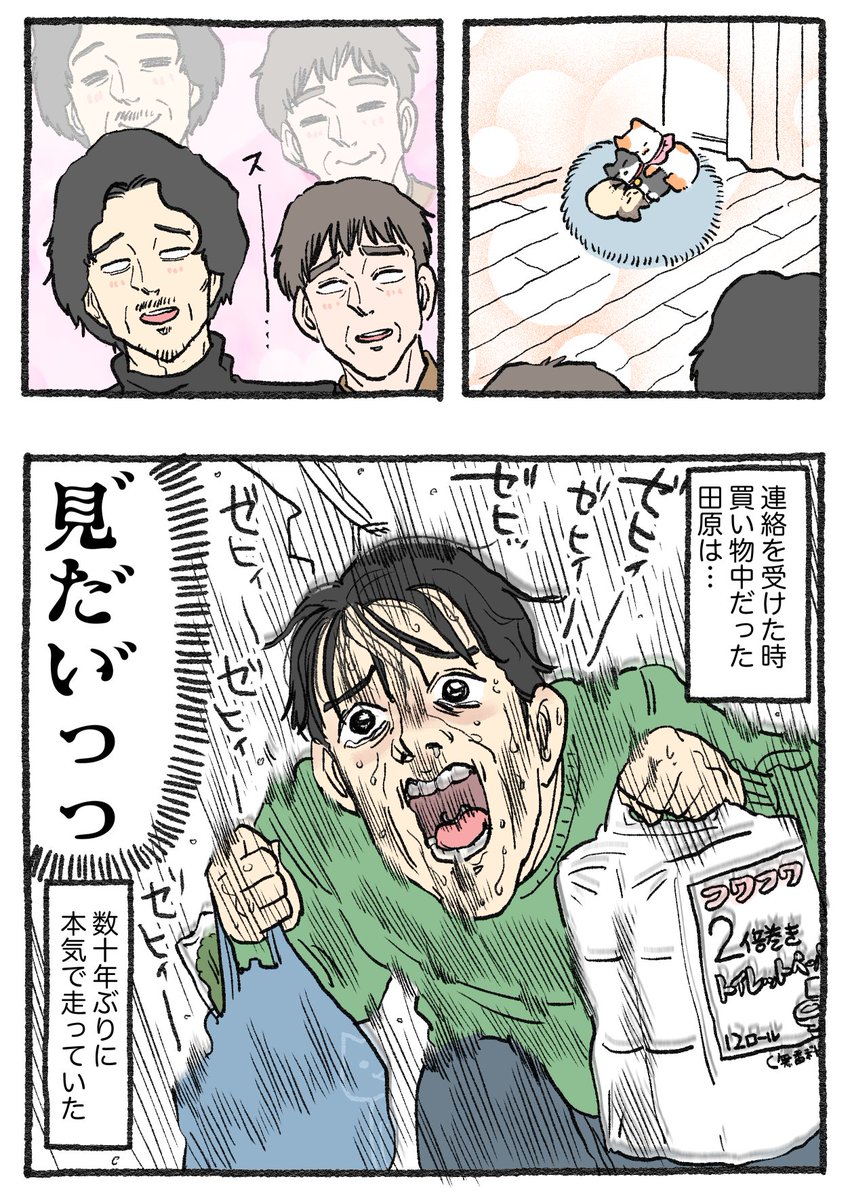 ねこに転生したおじさん。その587