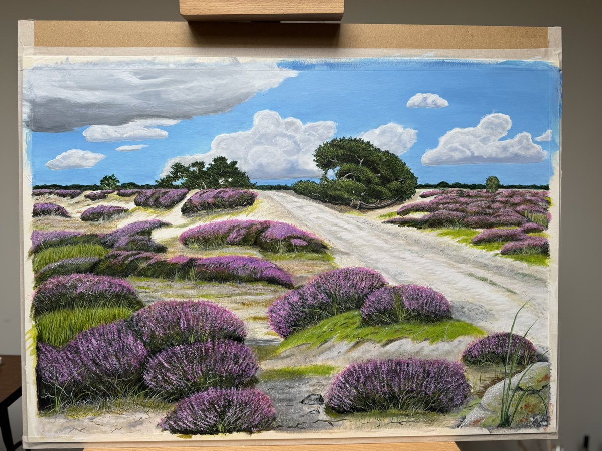 Overzicht van de 4 van de 5 landschappen die ik heb mogen schilderen voor een klant. Voor wie ze zijn geschilderd hou ik nog even voor me. Maar ze komen op een schitterende locatie te hangen.