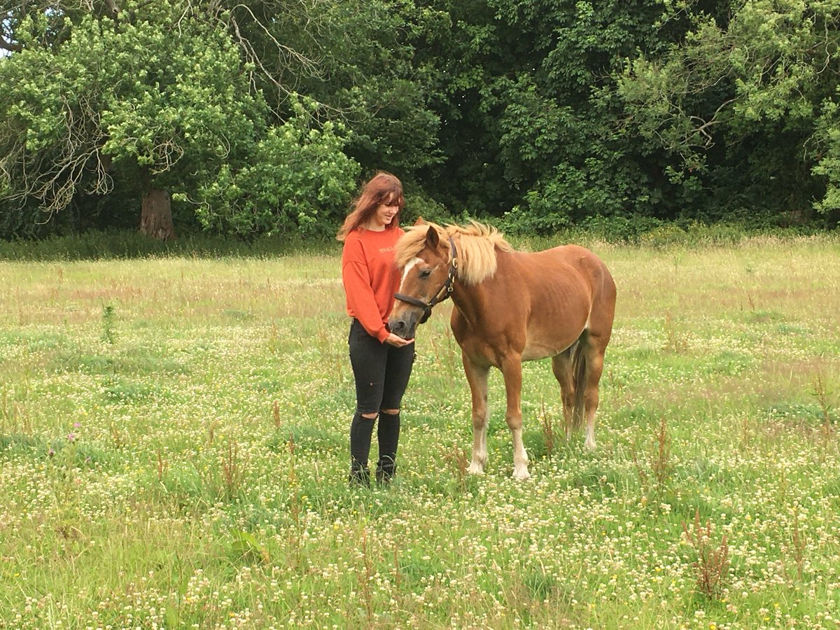 Nicola Chester tweet media