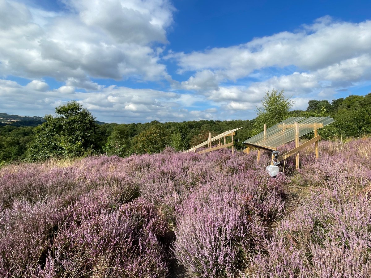 PhD opportunity!! ➡️Heathland Flammability Responses to Environmental Change 🌿🔥
centa.ac.uk/studentship/20…

Work with a great team of researchers at University of Birmingham, University of Exeter, Forestry England &amp; Met Office!