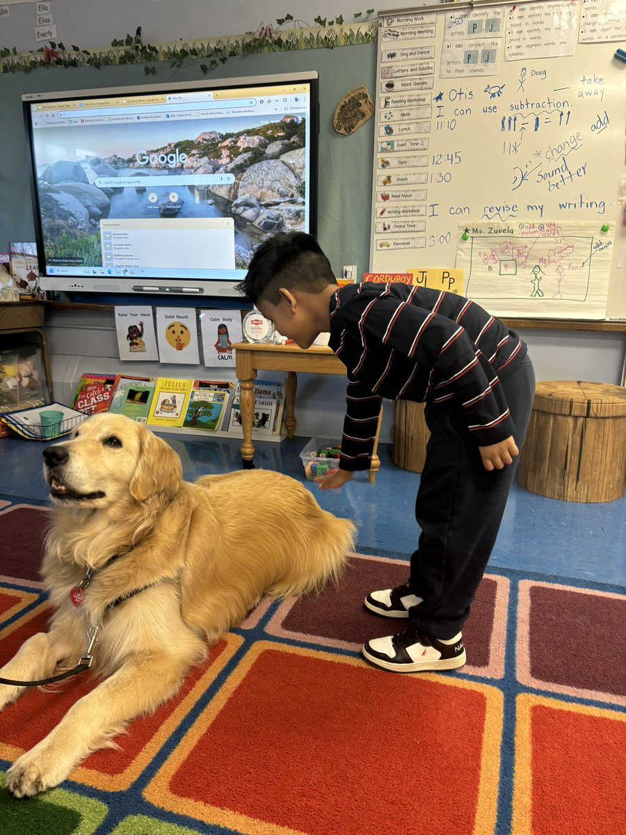 MsZuvela's tweet photo. Kindergartners strengthen story language skills as they read emergent storybooks to our special visitor, Otis! @SearingtownK5 https://t.co/qE5802Xo5m