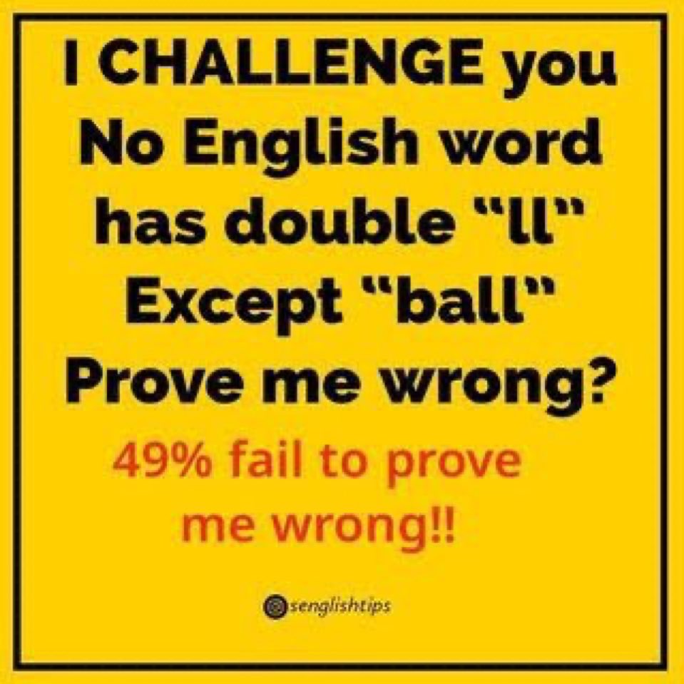 El Gallo 🇺🇸🇩🇴☘️ tweet media