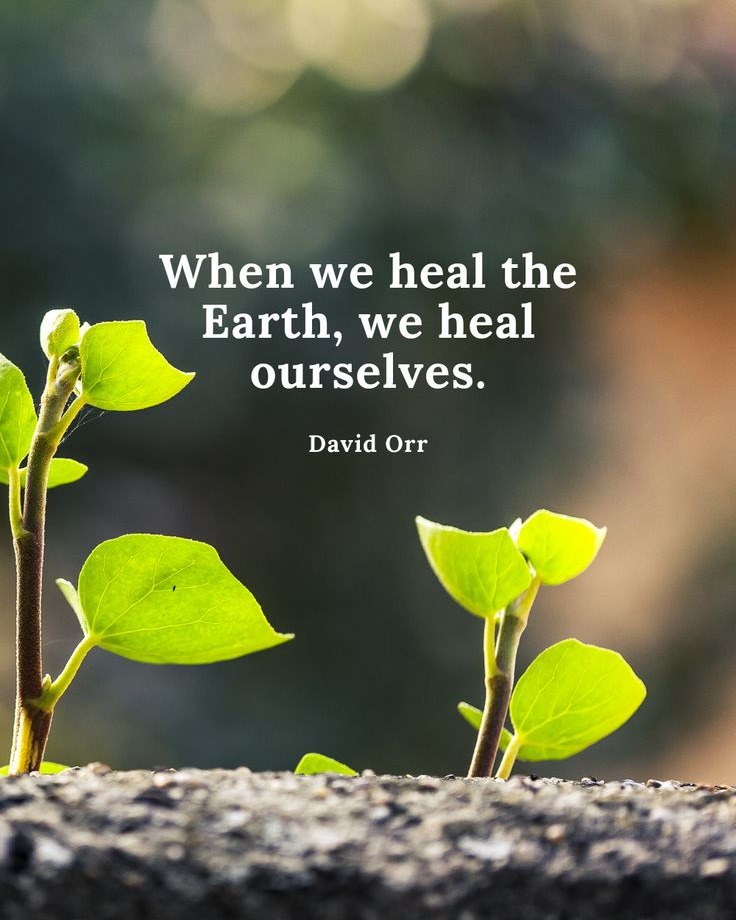 Polystyrene Recycling (@polystyrene_sa) on Twitter photo 