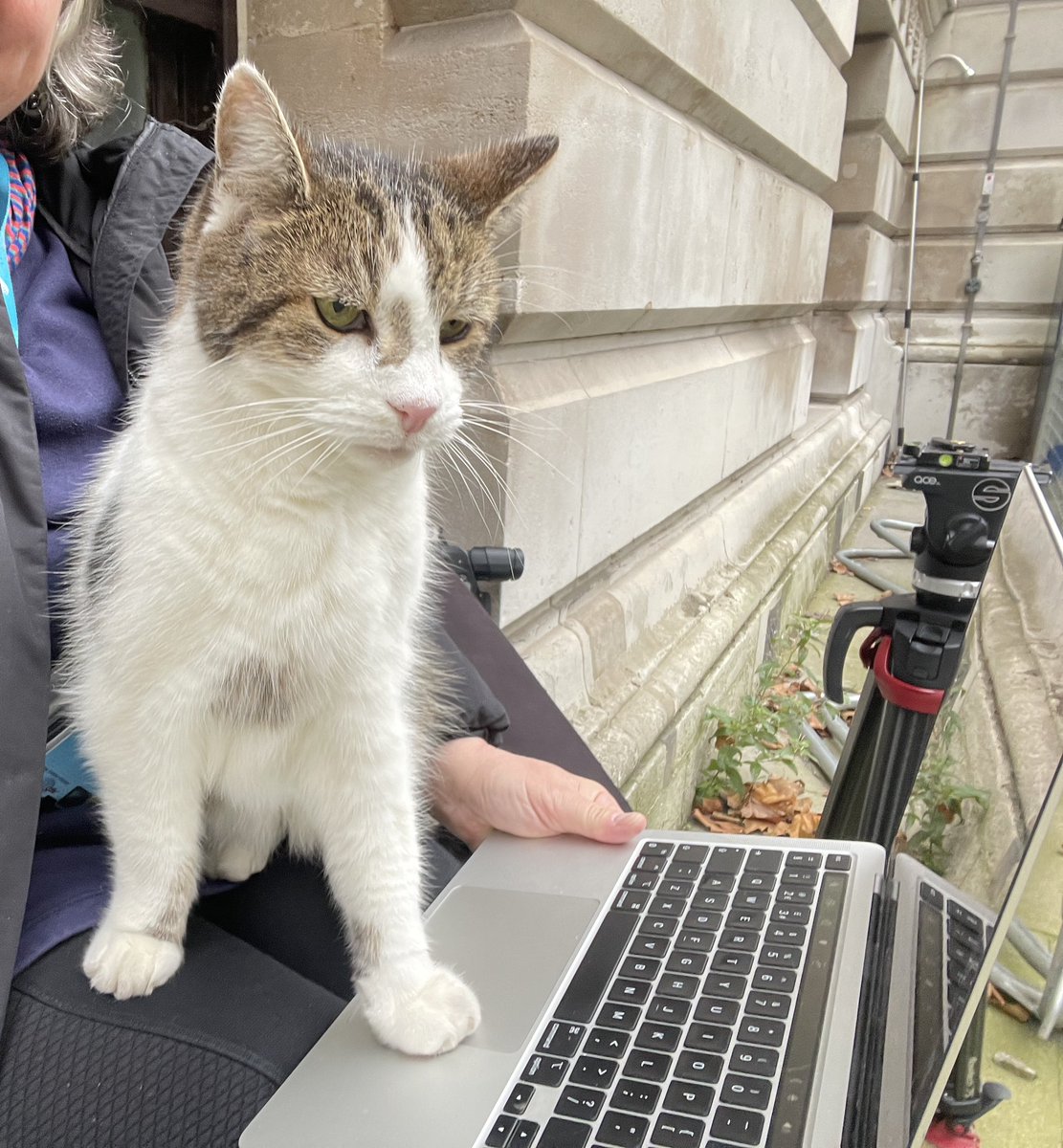 Justine Gerardy tweet media