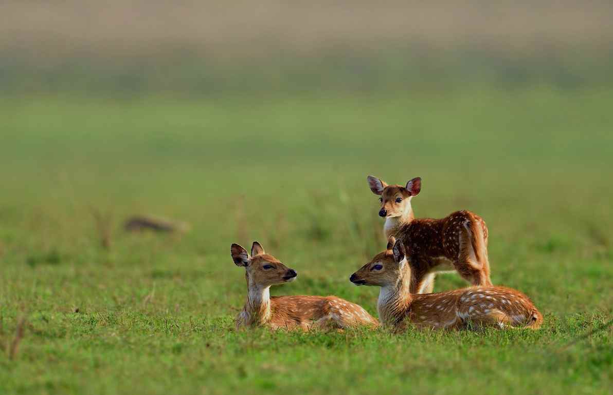 Pedo7O2's tweet image. Seeking the brilliance of Marc Kölbl