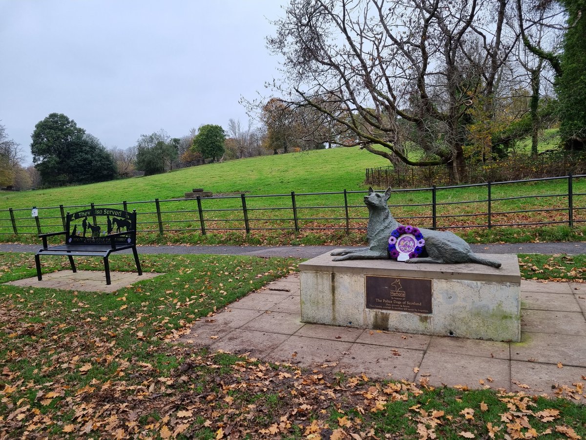 K9Scottish's tweet image. Thank you to @MA_PurplePoppy for allowing #PDBusa and #PDBilly the honour of laying this years wreath 💜
#WeWillRememberThem 
#AnimalsOfWar