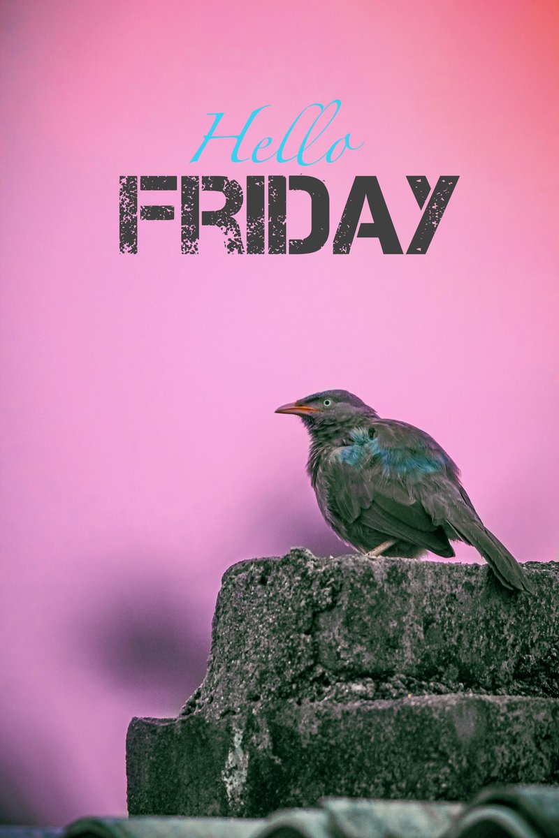 TGIFF !!

#BoomClicks
