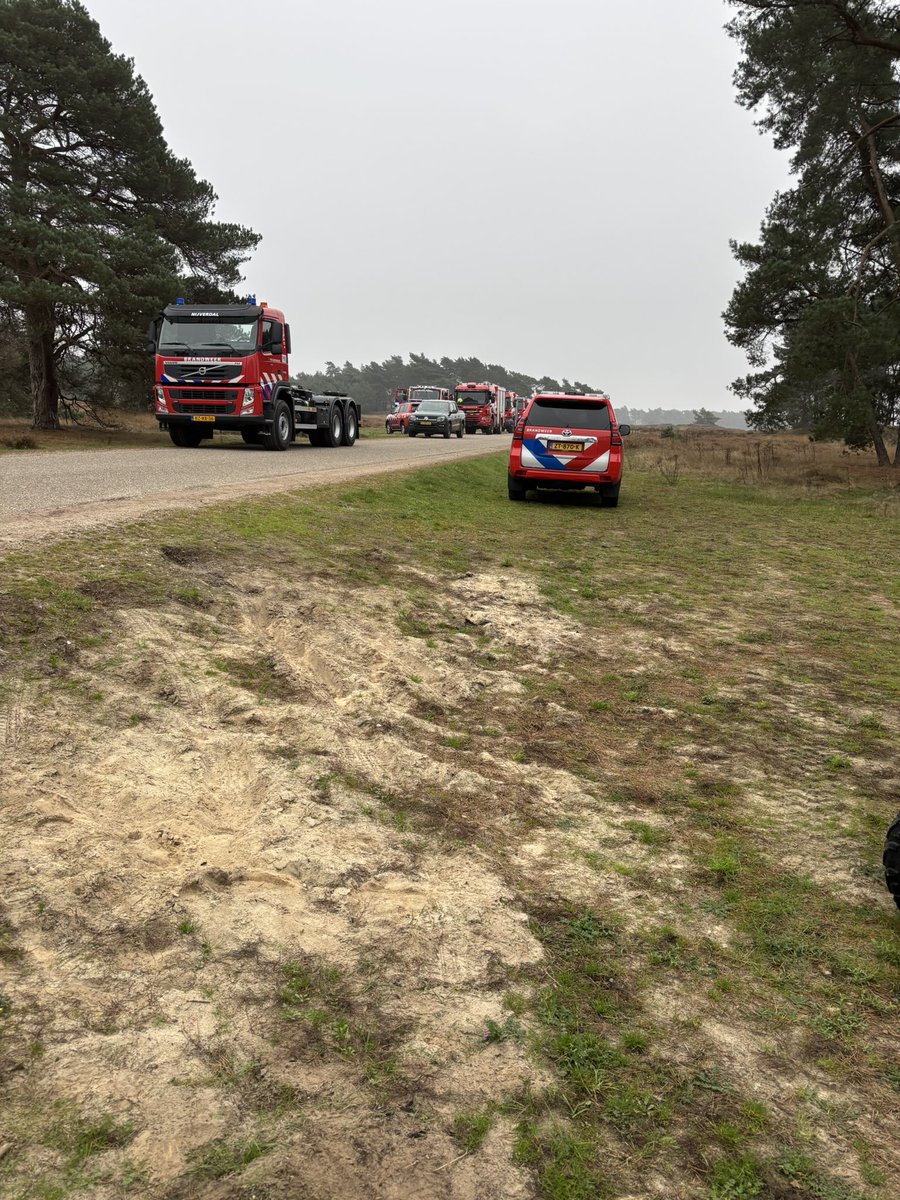 André Flach tweet media