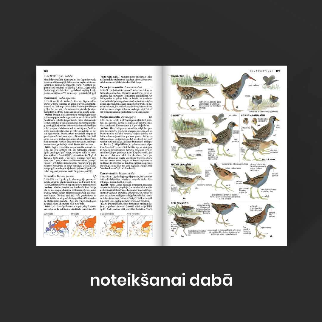 🦉Putnotāji sarosās – ilgi gaidītais jaunums ir klāt!
"Putnu noteicēja" 2. papildinātais izdevums ir atlidojis pie mums un jau pieejams iegādei Jāņa sētas interneta veikalā!

Uzzini vairāk: kartes.lv/lv/product/put…