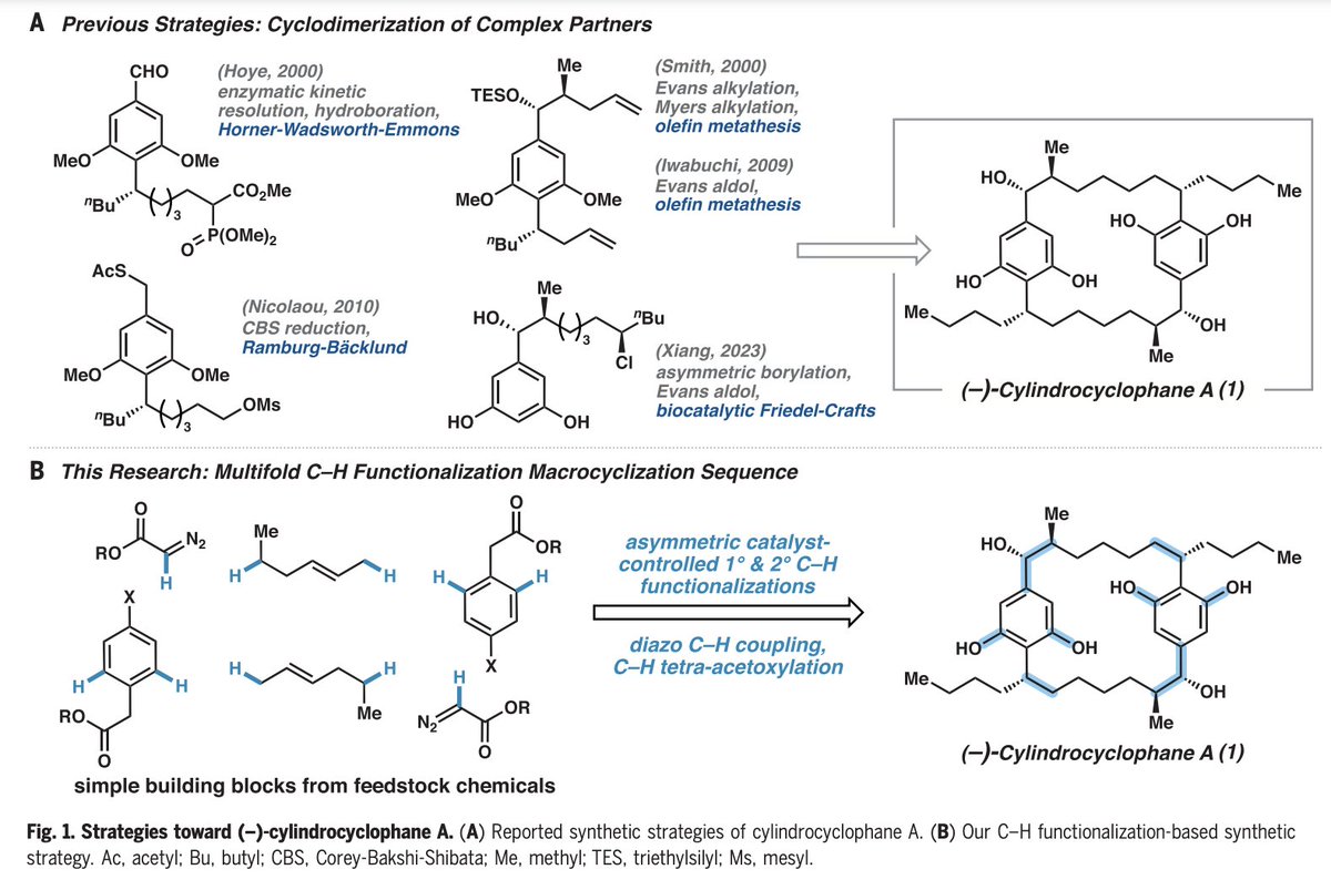 Total Synthesis tweet media