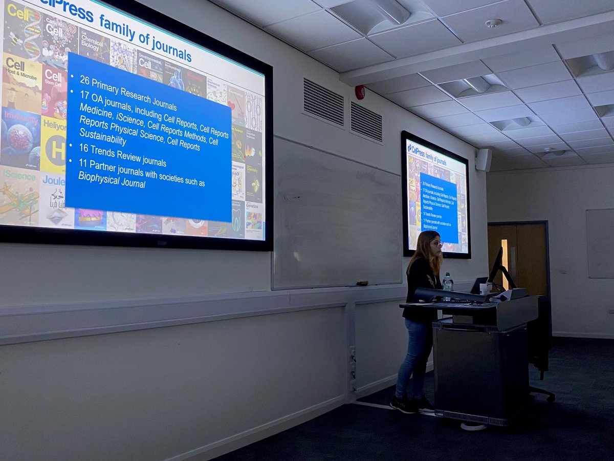 Marco Sciacovelli tweet media