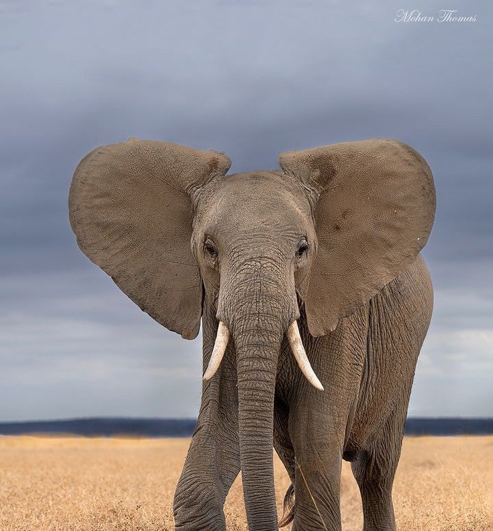 kenyapics's tweet photo. Young and beautiful ❤️ https://t.co/jkpwtLxgtU