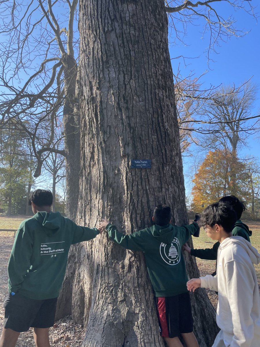 A trip to Mt. Vernon yields gorgeous views and a chance to touch history. #NoviDC24