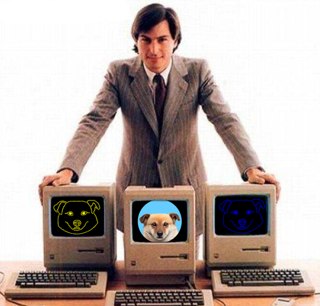 DOGK tweet media