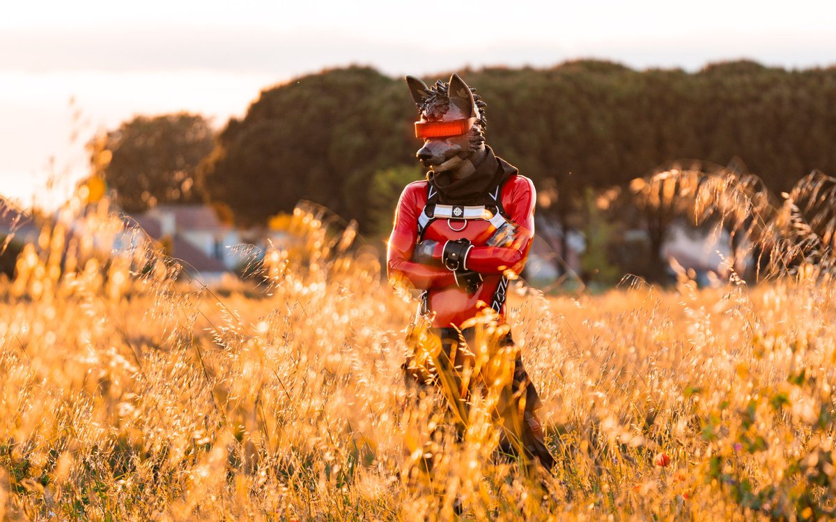 Dokuta_Woof's tweet photo. Seeing life in red 🔴

Suit by @YUELAN_latex 

📷 @tihmouse 
#furry #latex #rubberfur #latexfur #techwear #cyberpunk #rubberwolf https://t.co/XlKU1mWsEa