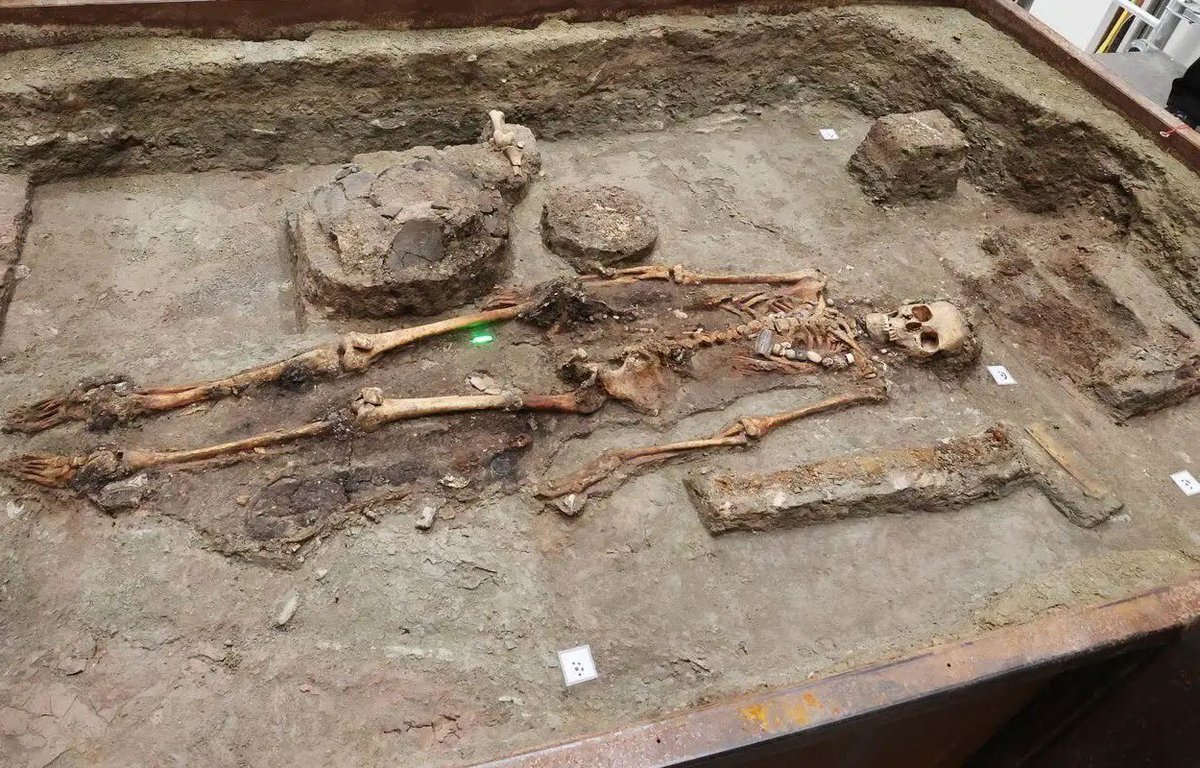 La découverte incroyable de la "Dame de Kölleda" : une sépulture royale du Moyen Âge révélée ! …heologie-actualites-et-decouvertes.fr/2024/11/la-dec…

#archeology #Histoire