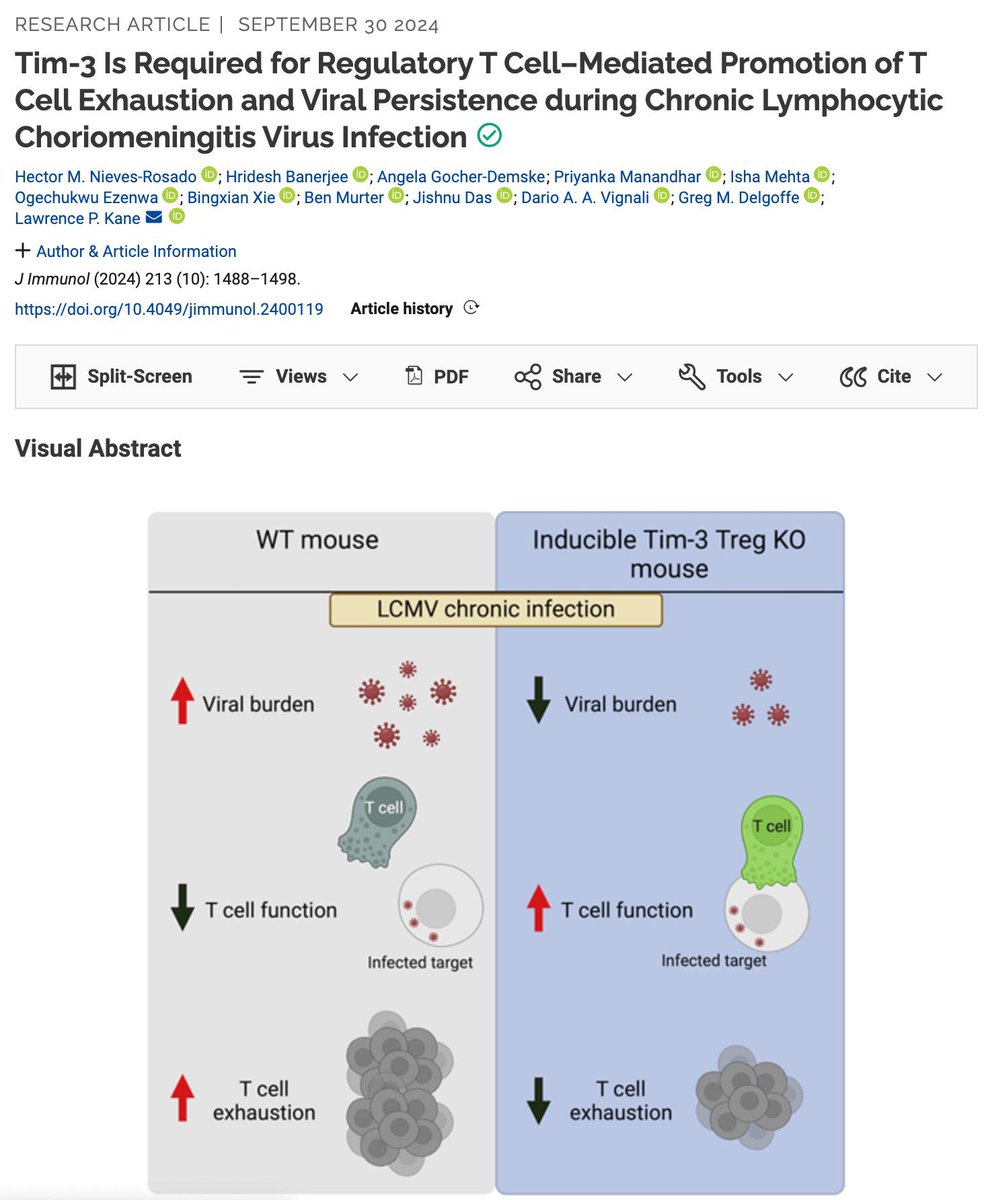 Hector Nieves-Rosado (@hector__nieves) on Twitter photo Second 1st-author publication out! We revealed for the first time that Tim-3 in Treg controls viral persistence and Tex development. Thanks to my amazing PI Dr. Kane and collaborators. <a href="/Pitt_PMI/">Pitt Micro/Immuno</a> <a href="/PittCMU_MSTP/">Pitt/CMU MSTP</a> Second 1st-author publication out! We revealed for the first time that Tim-3 in Treg controls viral persistence and Tex development. Thanks to my amazing PI Dr. Kane and collaborators. <a href="/Pitt_PMI/">Pitt Micro/Immuno</a> <a href="/PittCMU_MSTP/">Pitt/CMU MSTP</a>