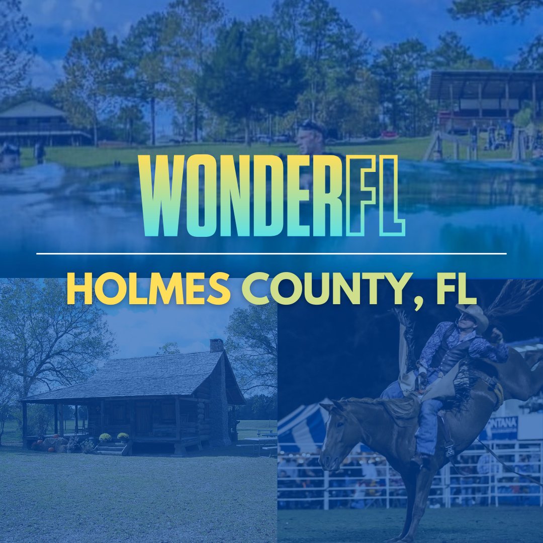 Florida's Great Northwest tweet media