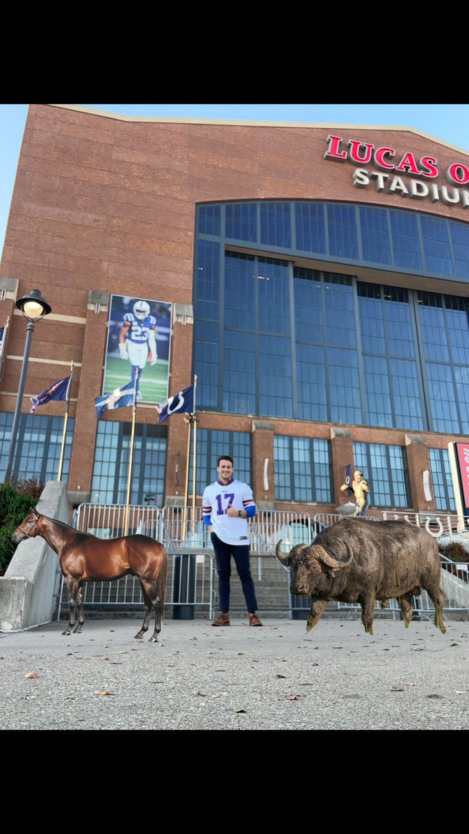 Bonjaase's tweet photo. @PFTCommenter @BarstoolBigCat @PardonMyTake @PardonMyMeme @hen_ease    Josh allen fan in Indy. Took my pet buffalo Rocky and horse Nyquist to the stadium! https://t.co/WIm4tkEouU