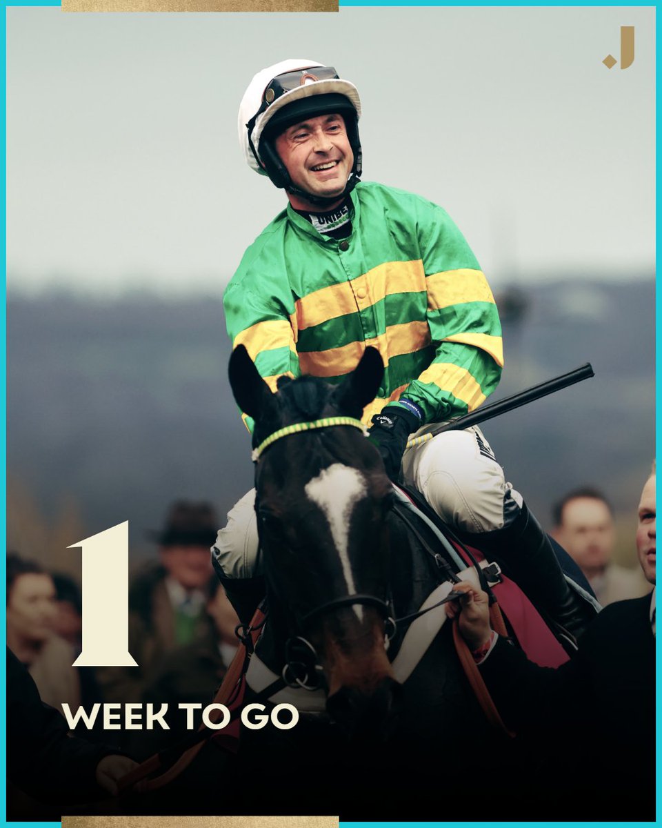 CheltenhamRaces's tweet photo. The November Meeting 😍 https://t.co/BLDbgl8Scb