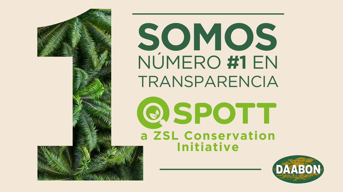 Nos enorgullece anunciar que Daabon ocupa nuevamente el puesto #1 en el ranking de aceite palma en SPOTT a nivel mundial con un puntaje de 97.4%! Seguimos comprometidos con la sostenibilidad y la transparencia en nuestras prácticas de aceite de palma. 🏆 

spott.org/palm-oil/
