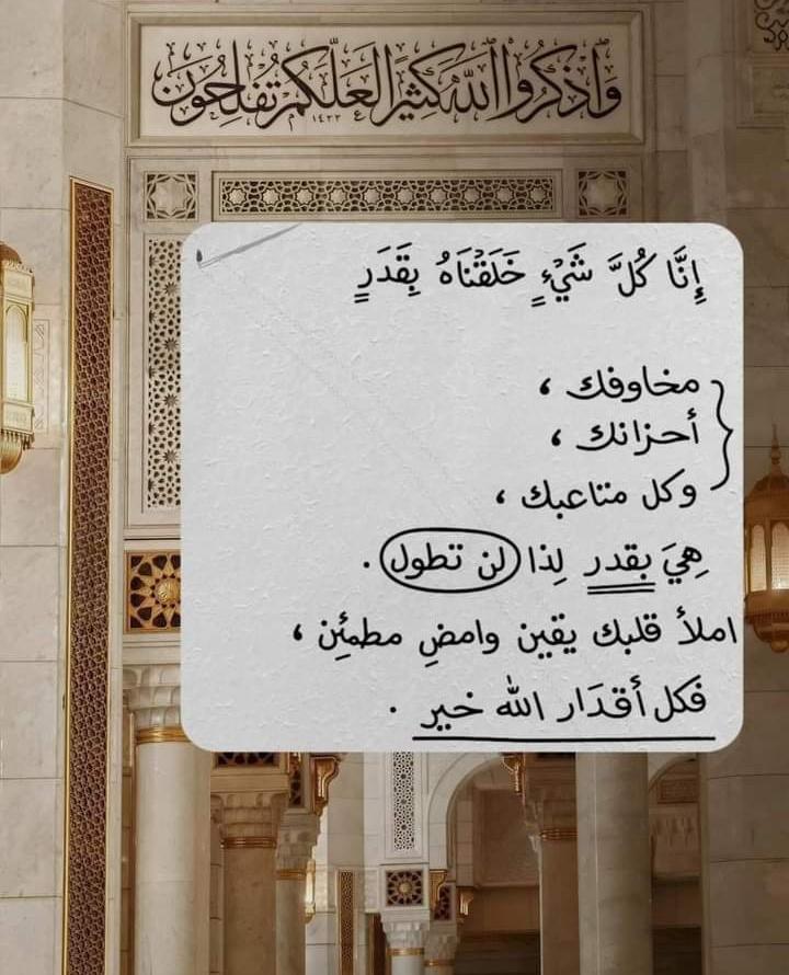Sнiмαα🦋 (@shimaaahmed1311) on Twitter photo 