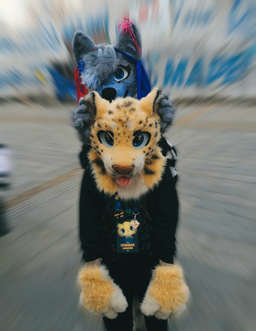 _chiniak_'s tweet photo. Yeah... >~<

#FursuitFriday #furry #fursuit #cat https://t.co/Cf2QOyyUle