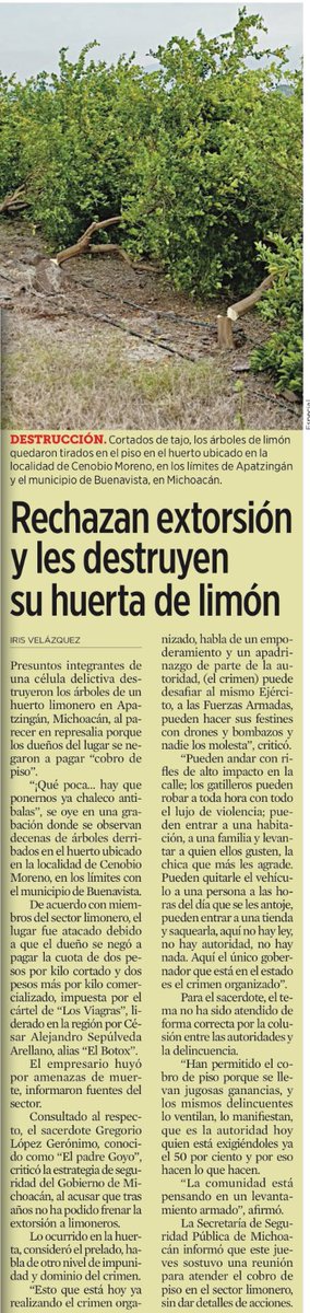 bereaguilarv's tweet photo. ¿No le pagas a Los Viagras la “módica”cuota al limón de dos pesos por kilo cortado y dos pesos más por kilo comercializado? 
Destruyen tu limonero y ¡listo! https://t.co/eWWdw0Rw0O