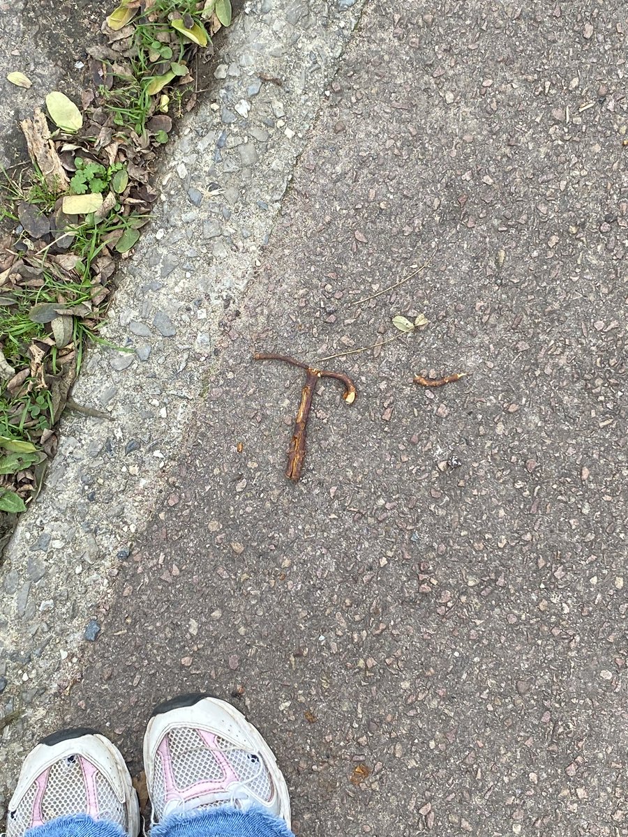 soupmina's tweet image. stérilet de bois